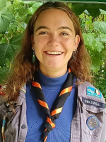 afbeelding van Wielewaal afbeelding van Wielewaal