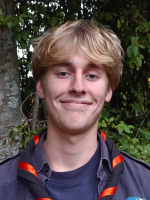 afbeelding van Hardoen afbeelding van Hardoen