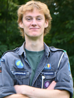 afbeelding van Newfoundlander