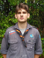 afbeelding van Falaropo afbeelding van Falaropo