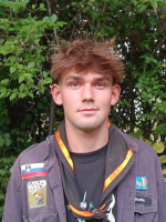 afbeelding van Wombat