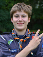 afbeelding van Zebra