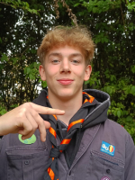 afbeelding van Vuursalamander