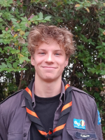 afbeelding van kolibrie