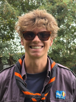 afbeelding van kolibrie
