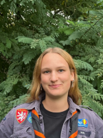 afbeelding van Ara