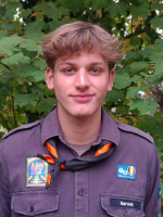 afbeelding van narwal afbeelding van narwal