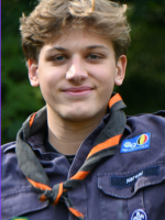 afbeelding van narwal