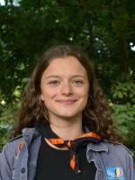 afbeelding van jachtluipaard afbeelding van jachtluipaard