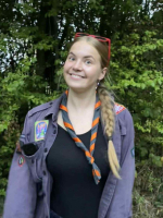 afbeelding van koolmees afbeelding van koolmees