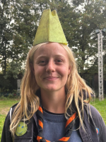 afbeelding van Dolfijn