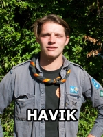 afbeelding van Havik
