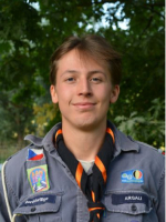 afbeelding van Argali
