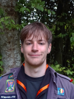 afbeelding van Stekelstaarteekhoorn afbeelding van Stekelstaarteekhoorn