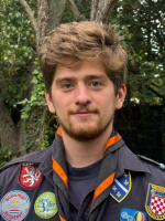 afbeelding van Schildpad