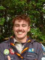 afbeelding van Motacilla